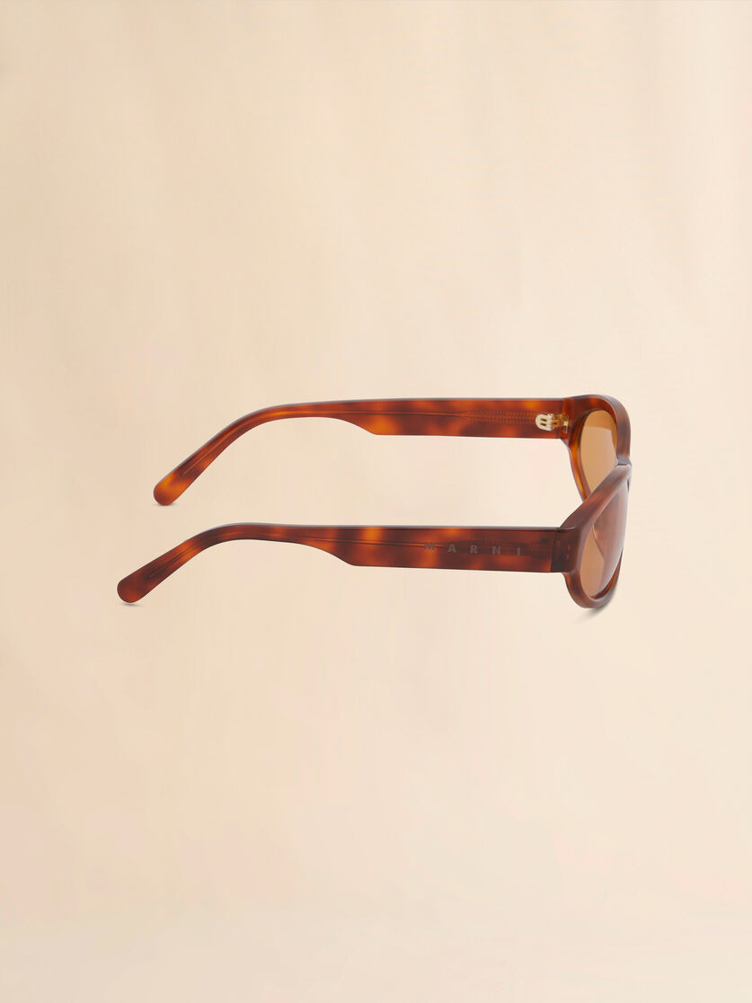 HAVANA OZOUND SUNGLASSES - 4