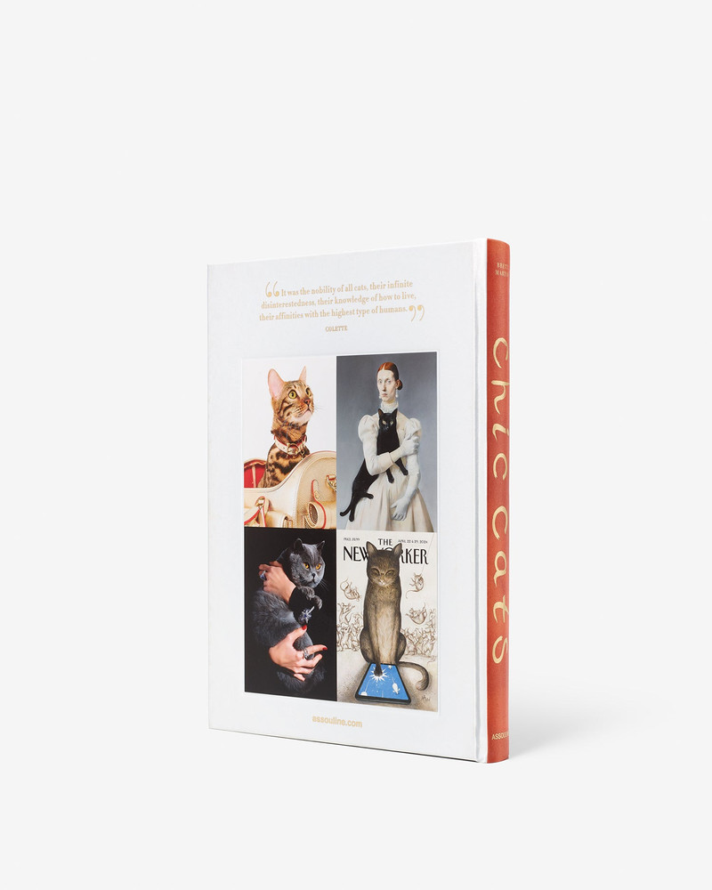 ASSOULINE Chic Cats outlook