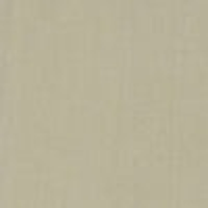 Leins Coat in Cotton 6