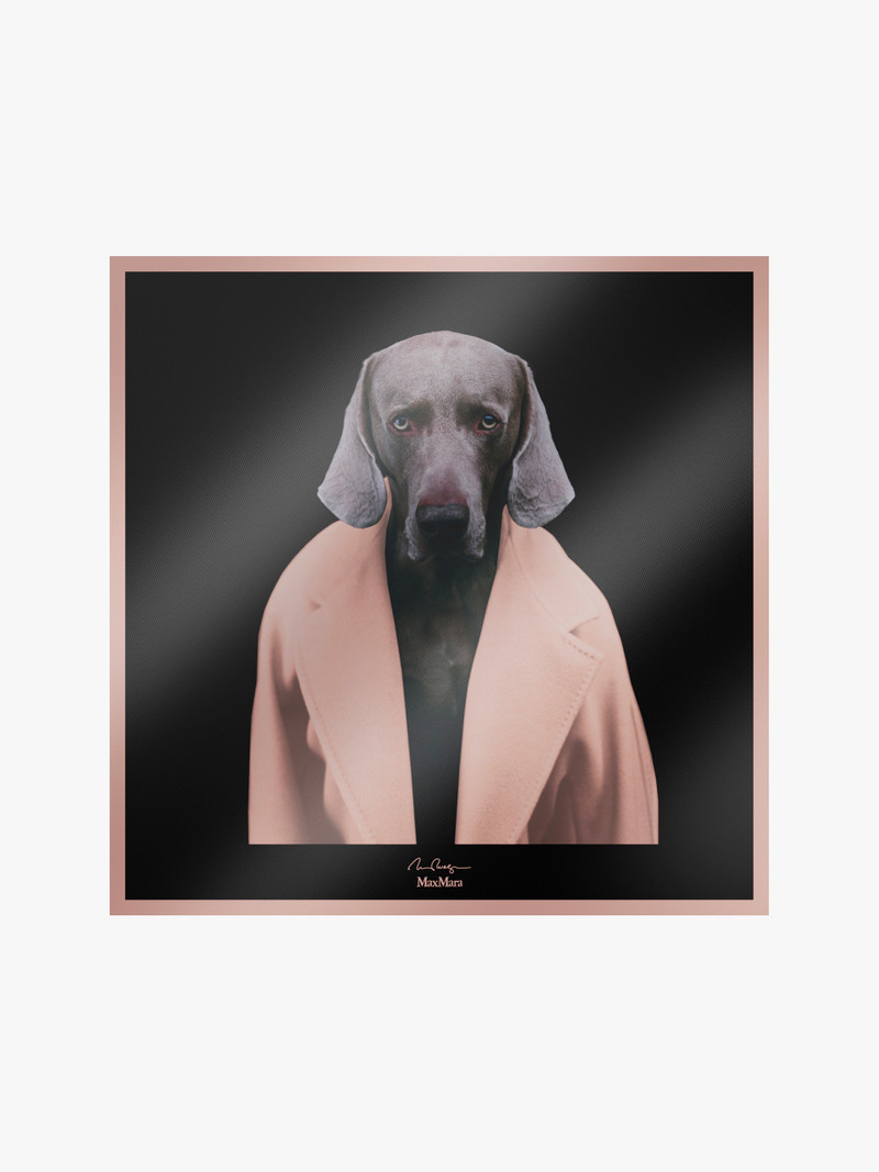 CARREMADAMEDOG Printed silk foulard - 1