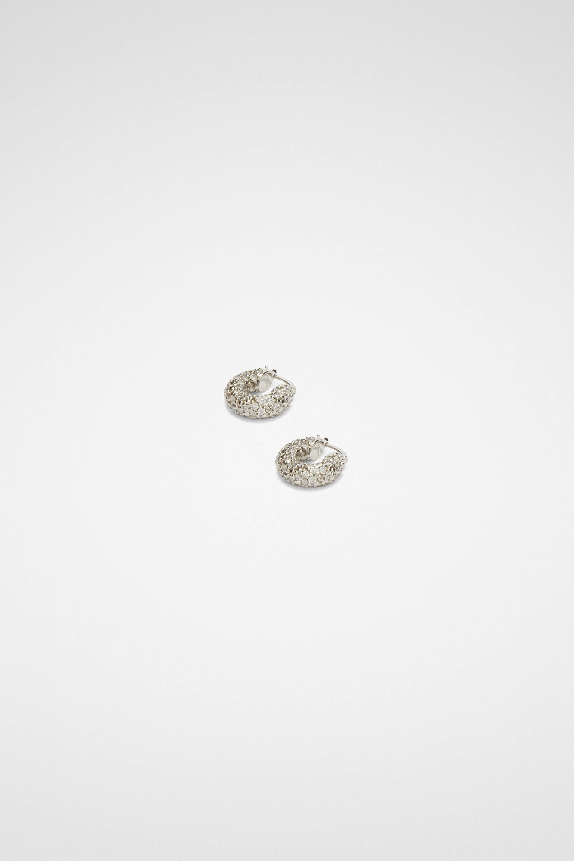 Earrings - 2