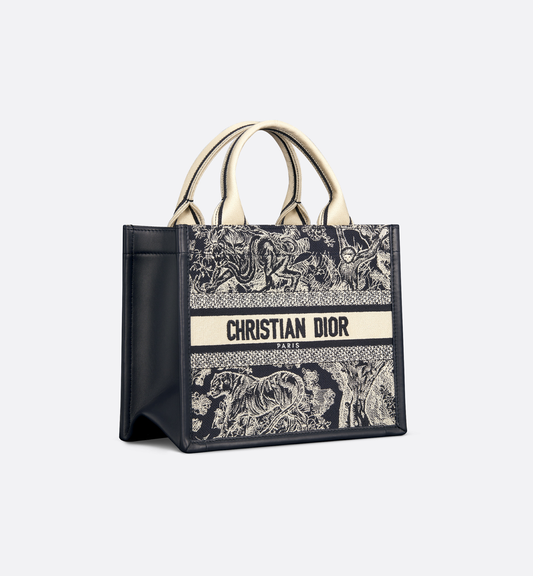 Small Dior Book Tote - 3