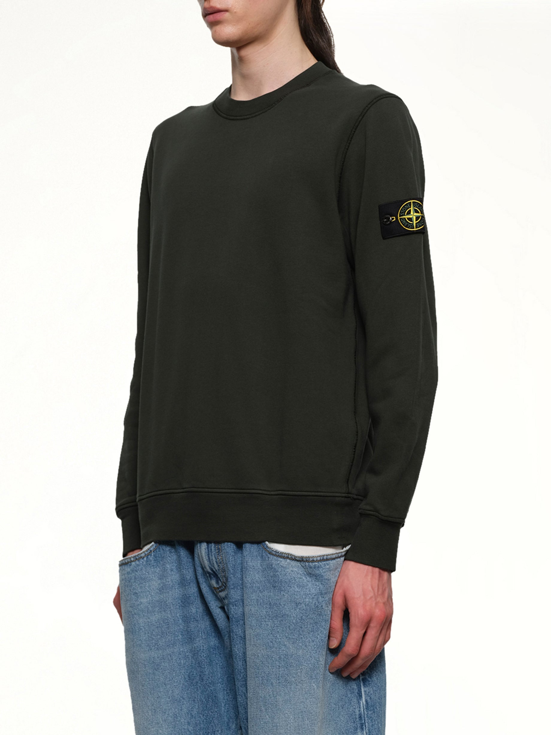 610006 Crewneck Sweatshirt in Juniper - 3