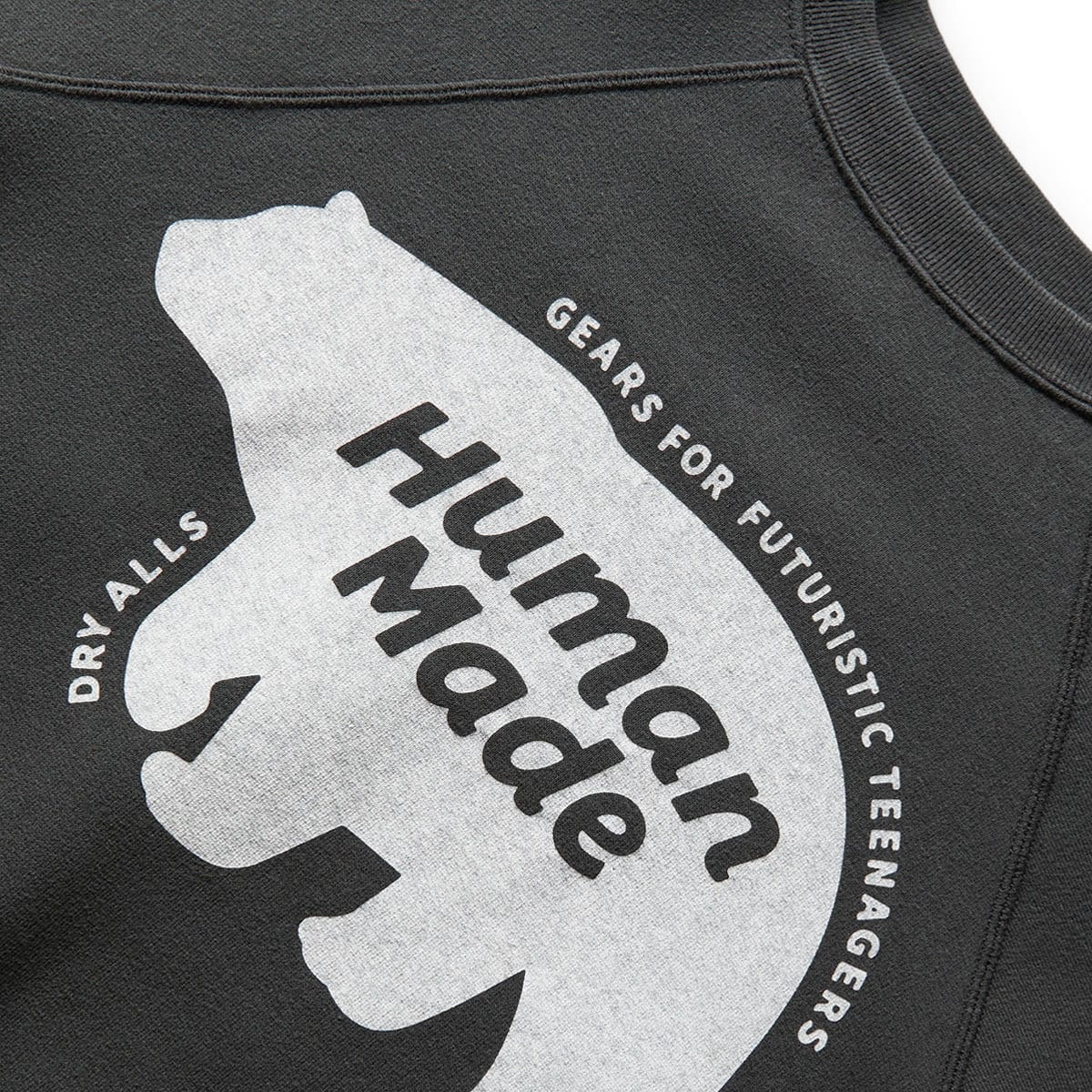 RAGLAN CREWNECK SWEATSHIRT - 2
