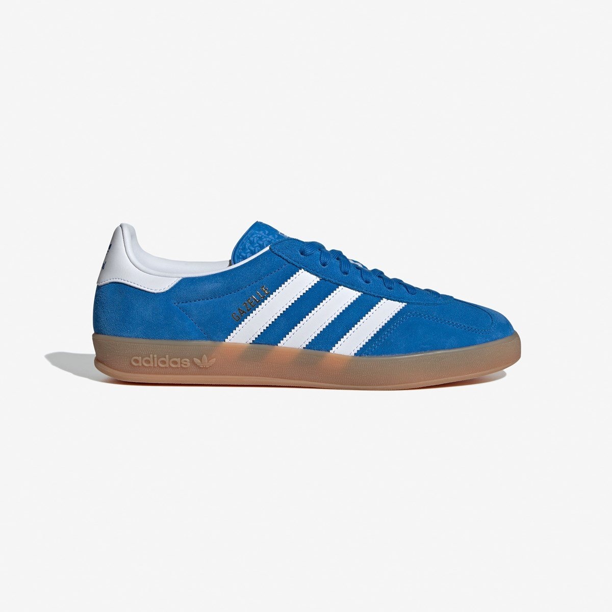 Gazelle Indoor - 1