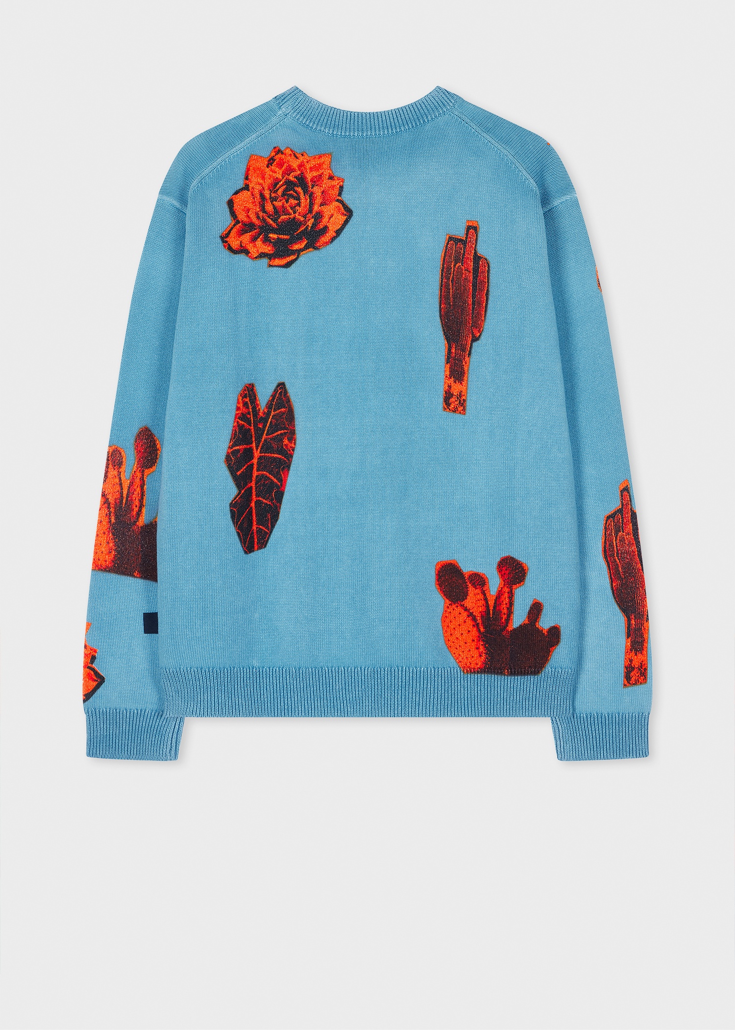 Sky Blue 'Photographic Cactus' Print Cotton Sweater - 2