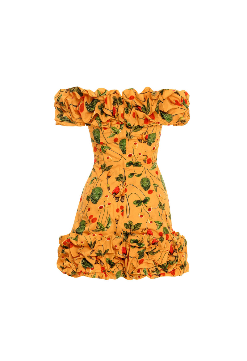 Jardin Frutal Mini Dress 3