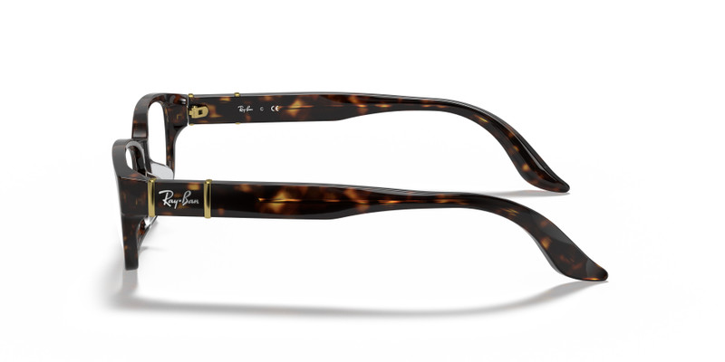 RB5198 OPTICS 5