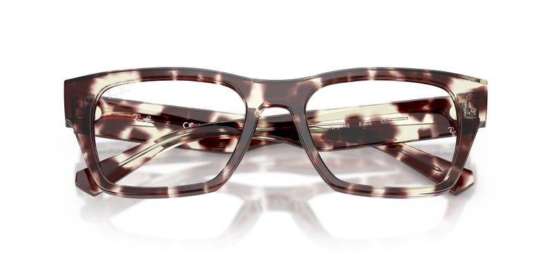 Ray-Ban RB5448 OPTICS outlook