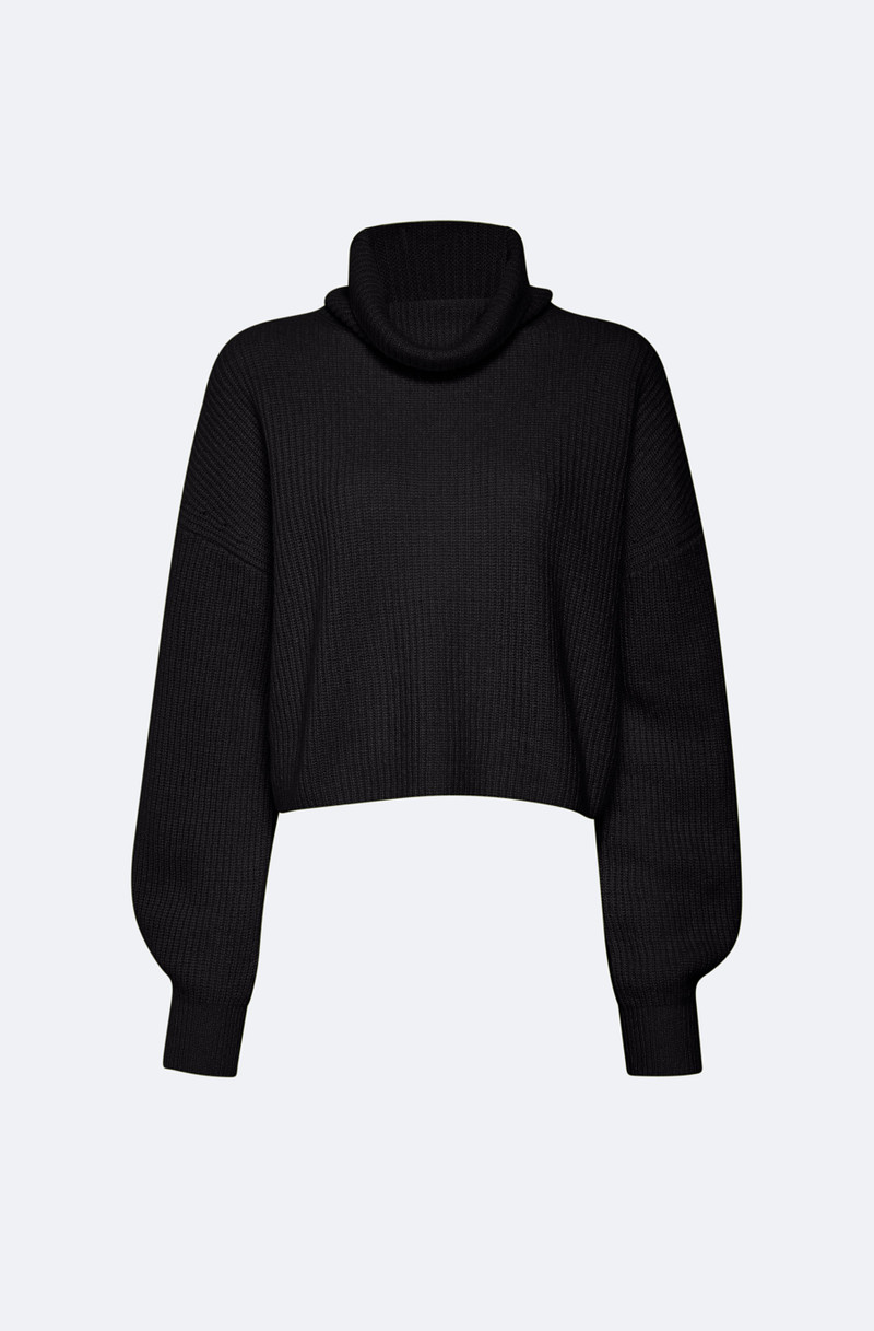 Cashmere Turtleneck Sweater 1