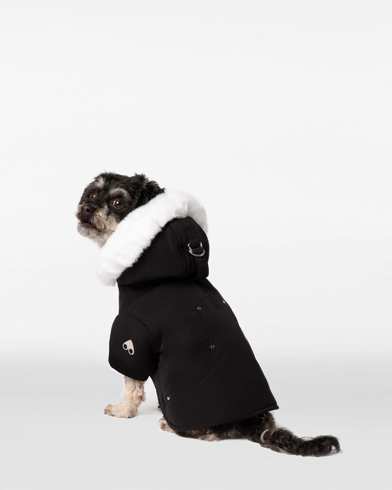 POOCH PARKA 3