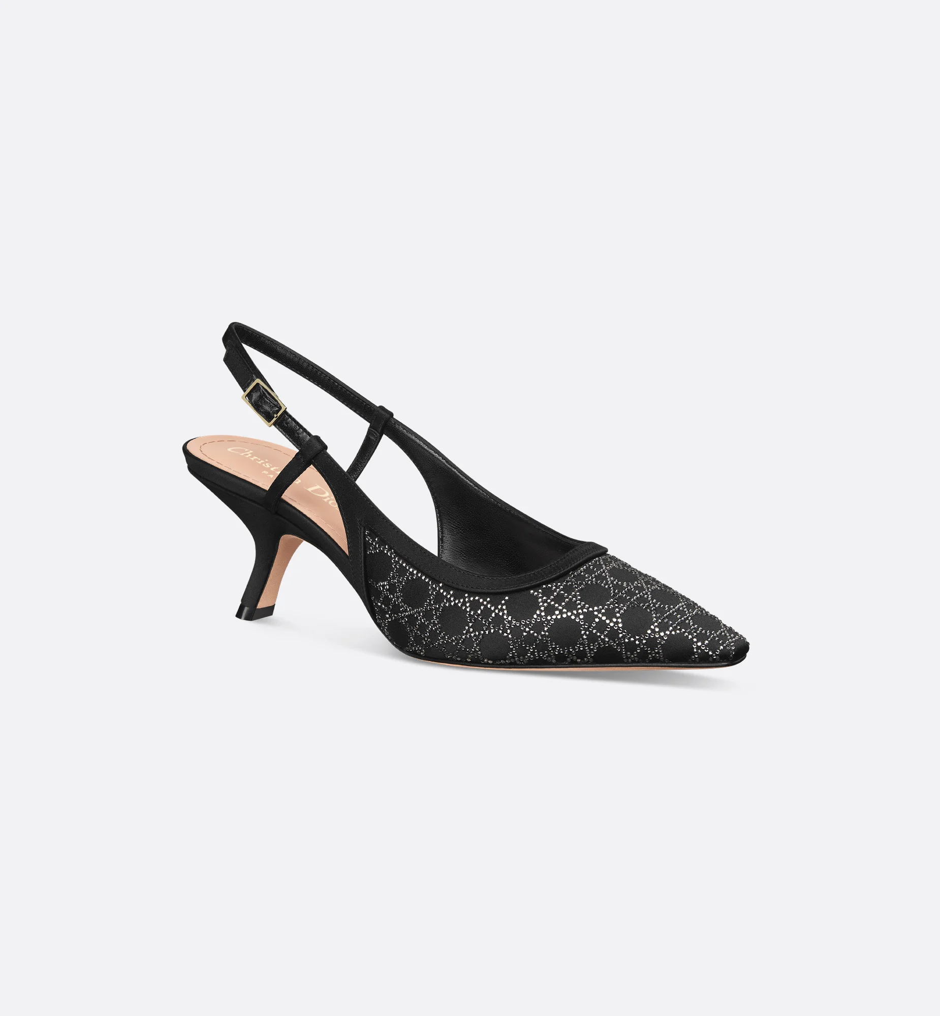 Dior Capture Slingback Pump - 1