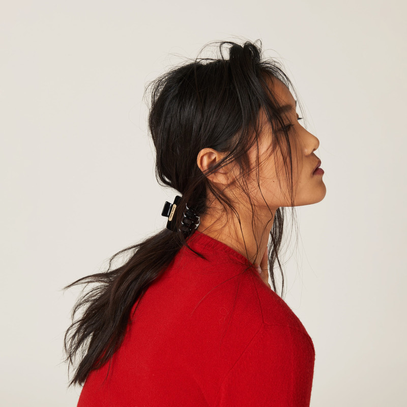 Miu Miu Plexiglas clip outlook