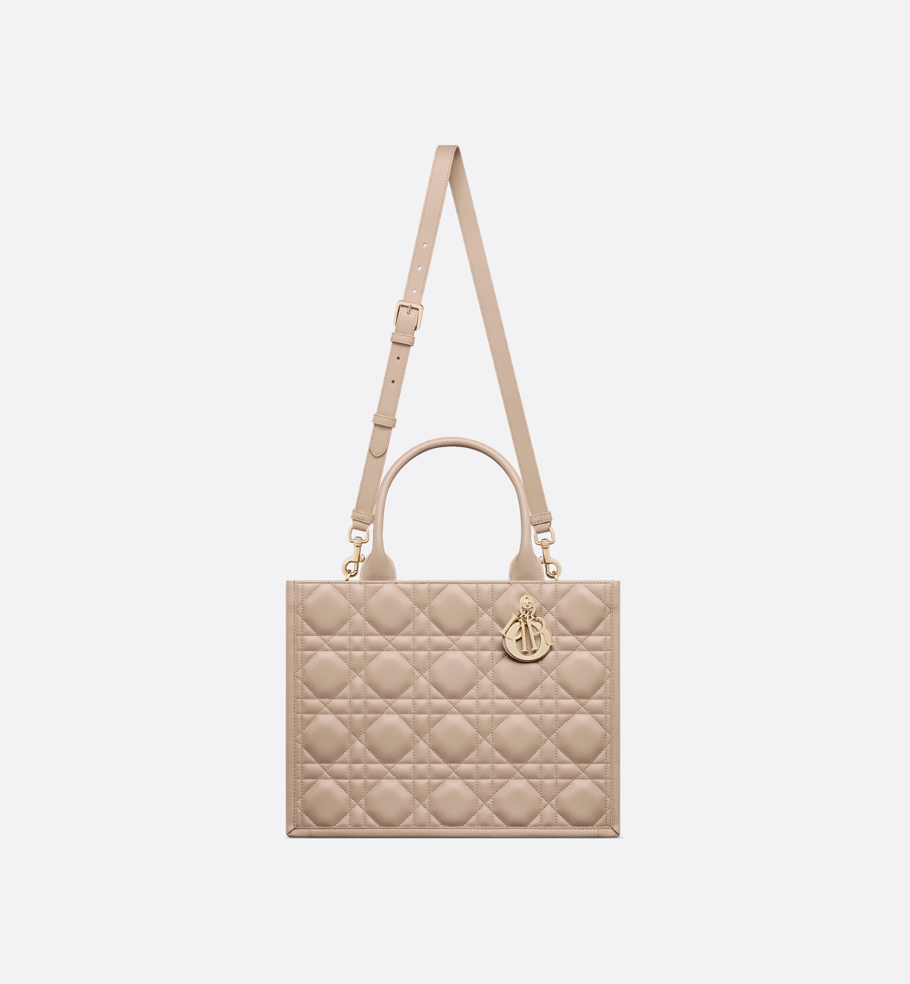 Medium Dior Book Tote - 5