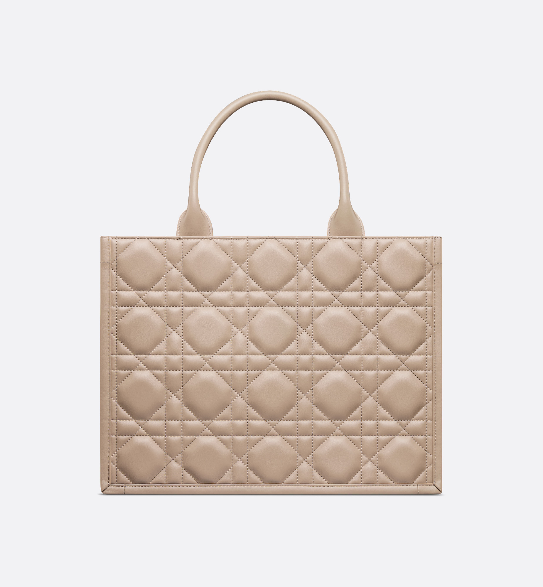 Medium Dior Book Tote - 2