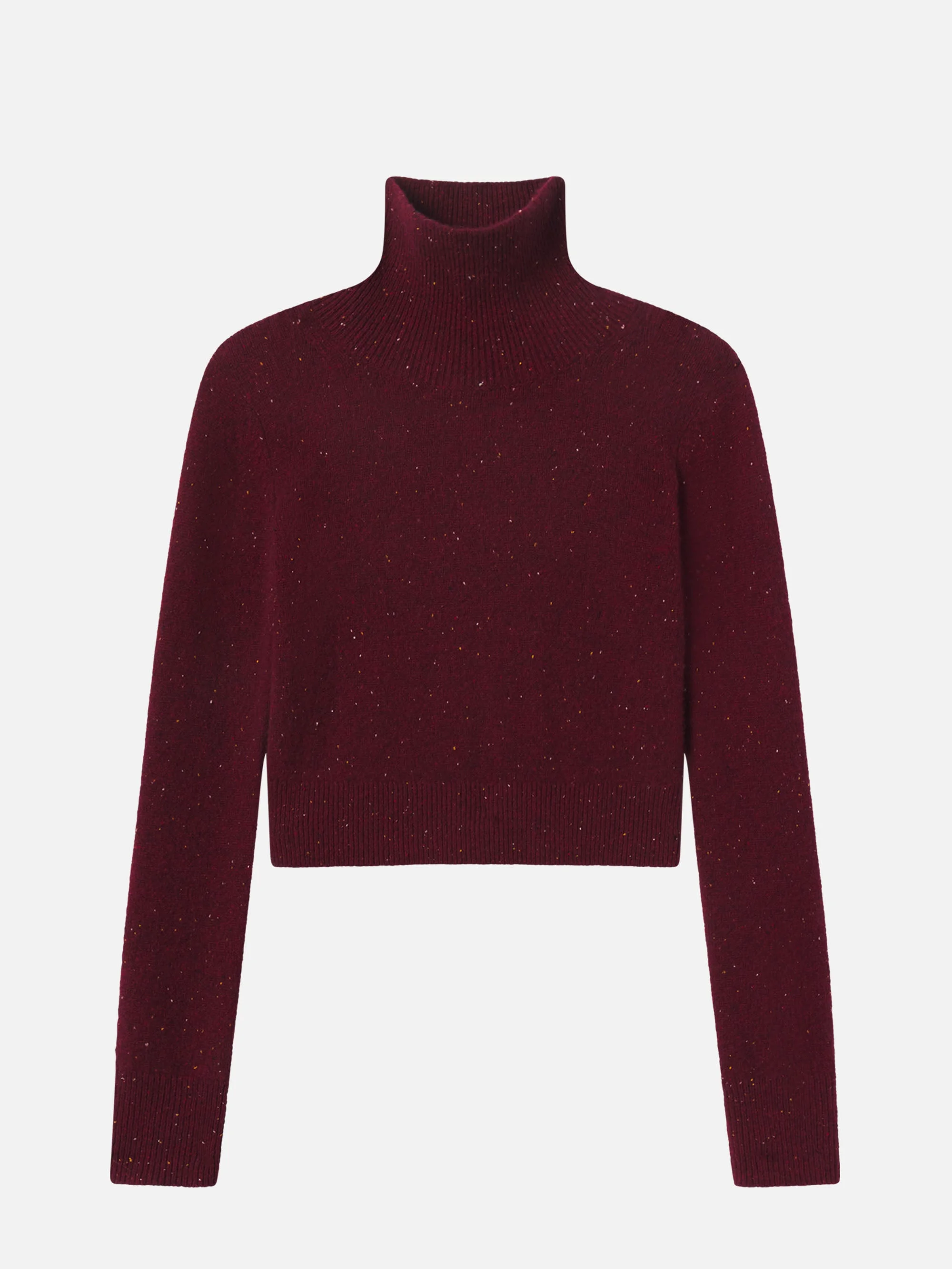 The Cashmere Fleck Turtleneck - 1