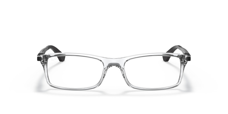 RB7017 OPTICS 4