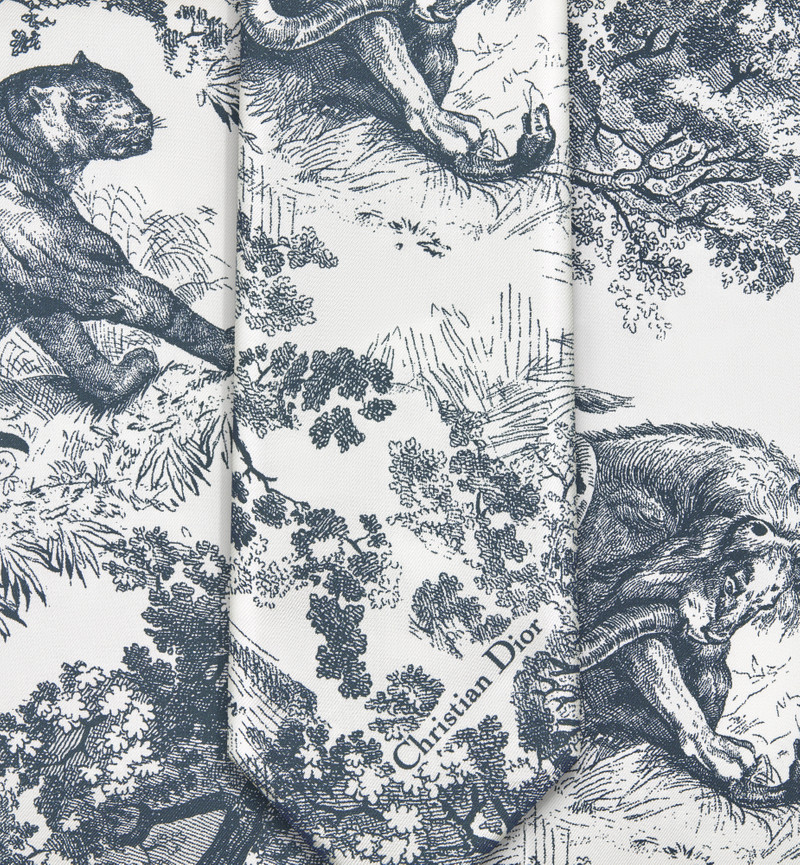 Dioriviera Maxi Toile de Jouy Sauvage Mitzah Scarf 6