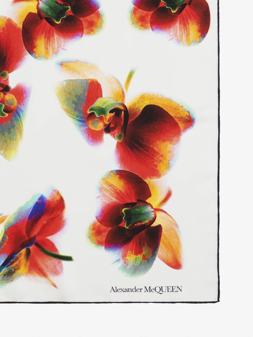 Women's Orchid Foulard in Ivory/red - 3