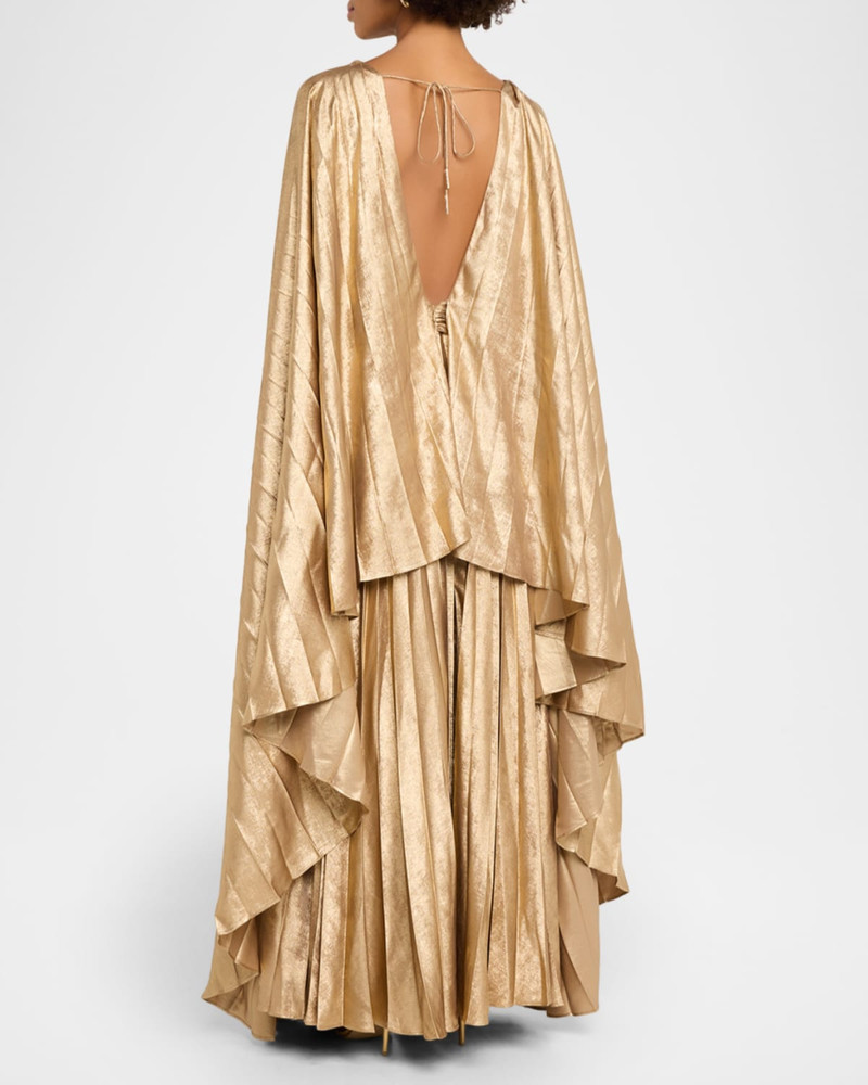 Darnhill Pleated Cape Maxi Dress 3