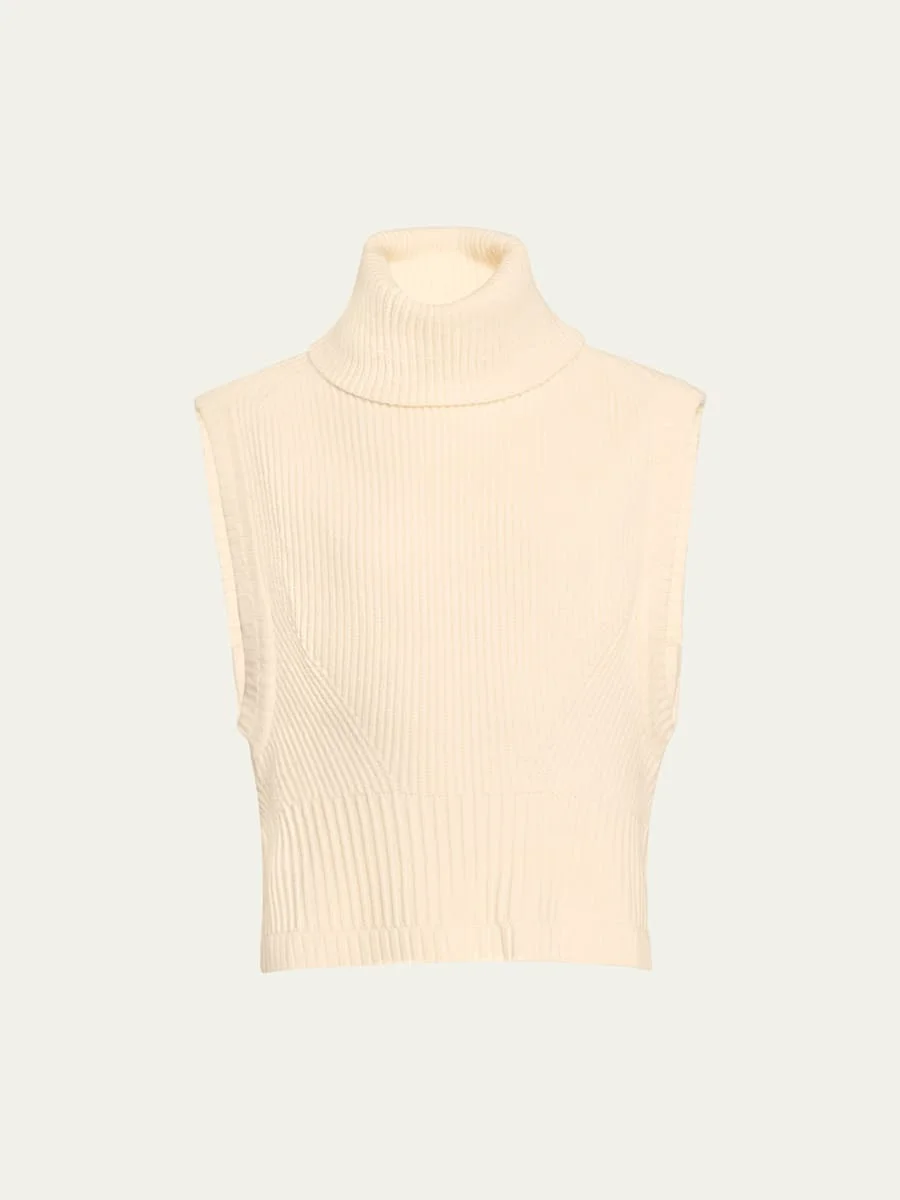 Maple Wool & Cashmere Sleeveless Turtleneck Top - 1