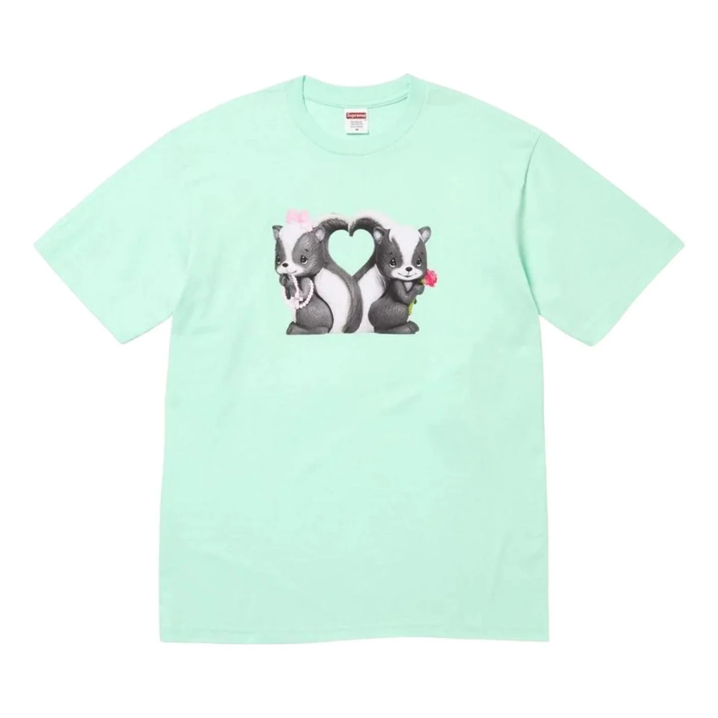 Supreme SS26 Skunk T-Shirt 'Mint' SUP-SS26-351-MNT - 1