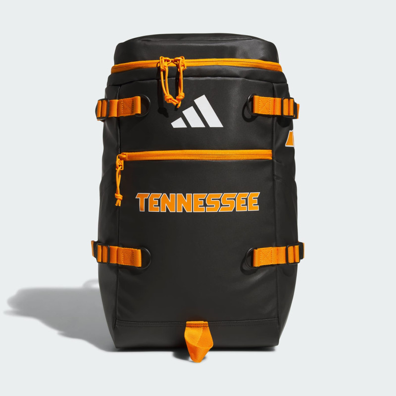 Collegiate Vista Backpack 1