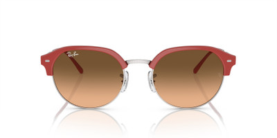 Ray-Ban RB4429 outlook