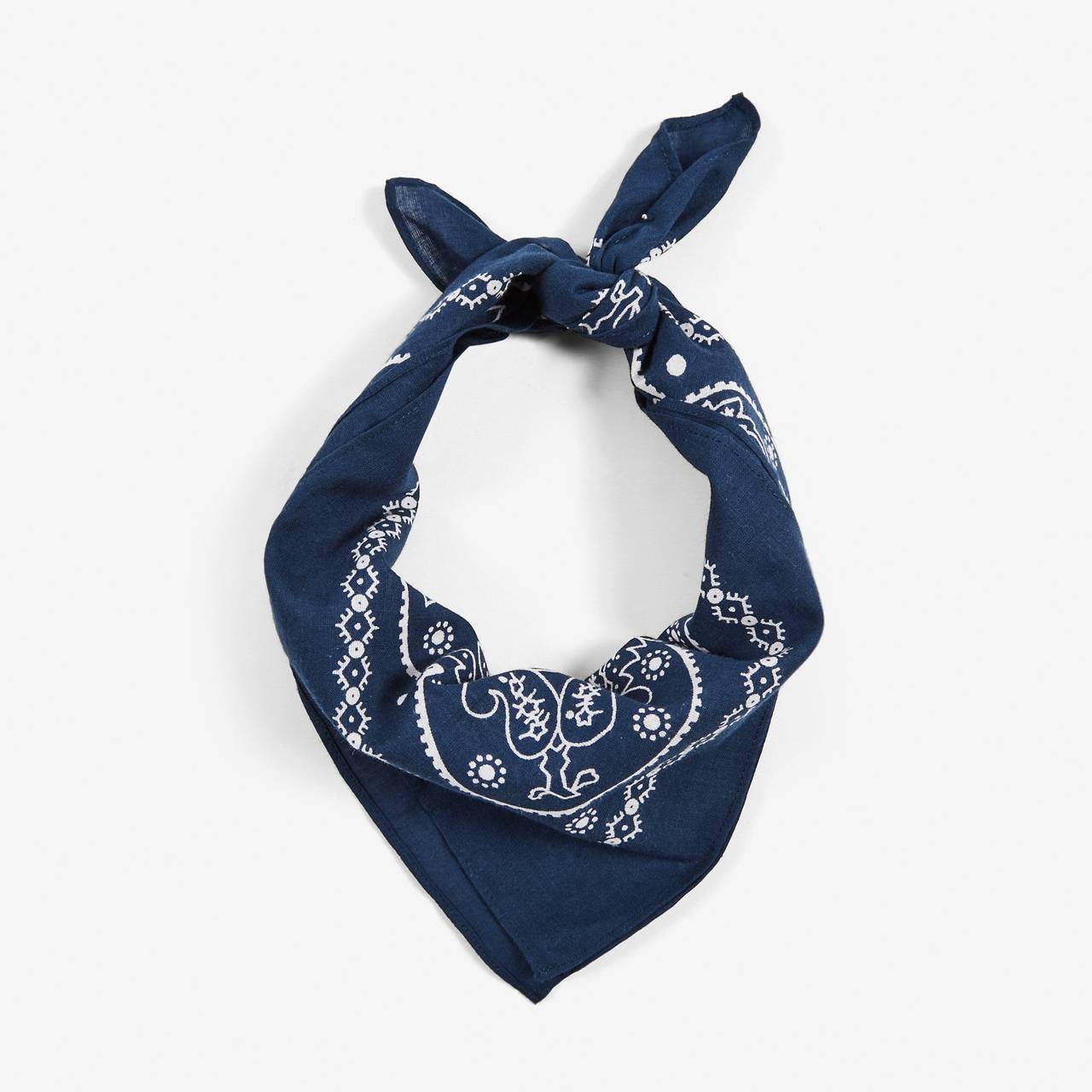 PAISLEY BANDANA - 2