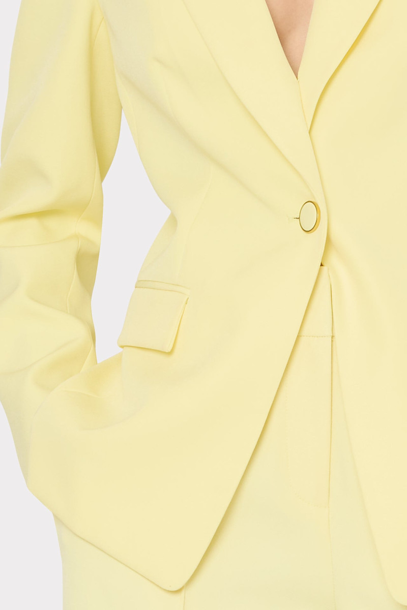 Avery Cady Blazer 5