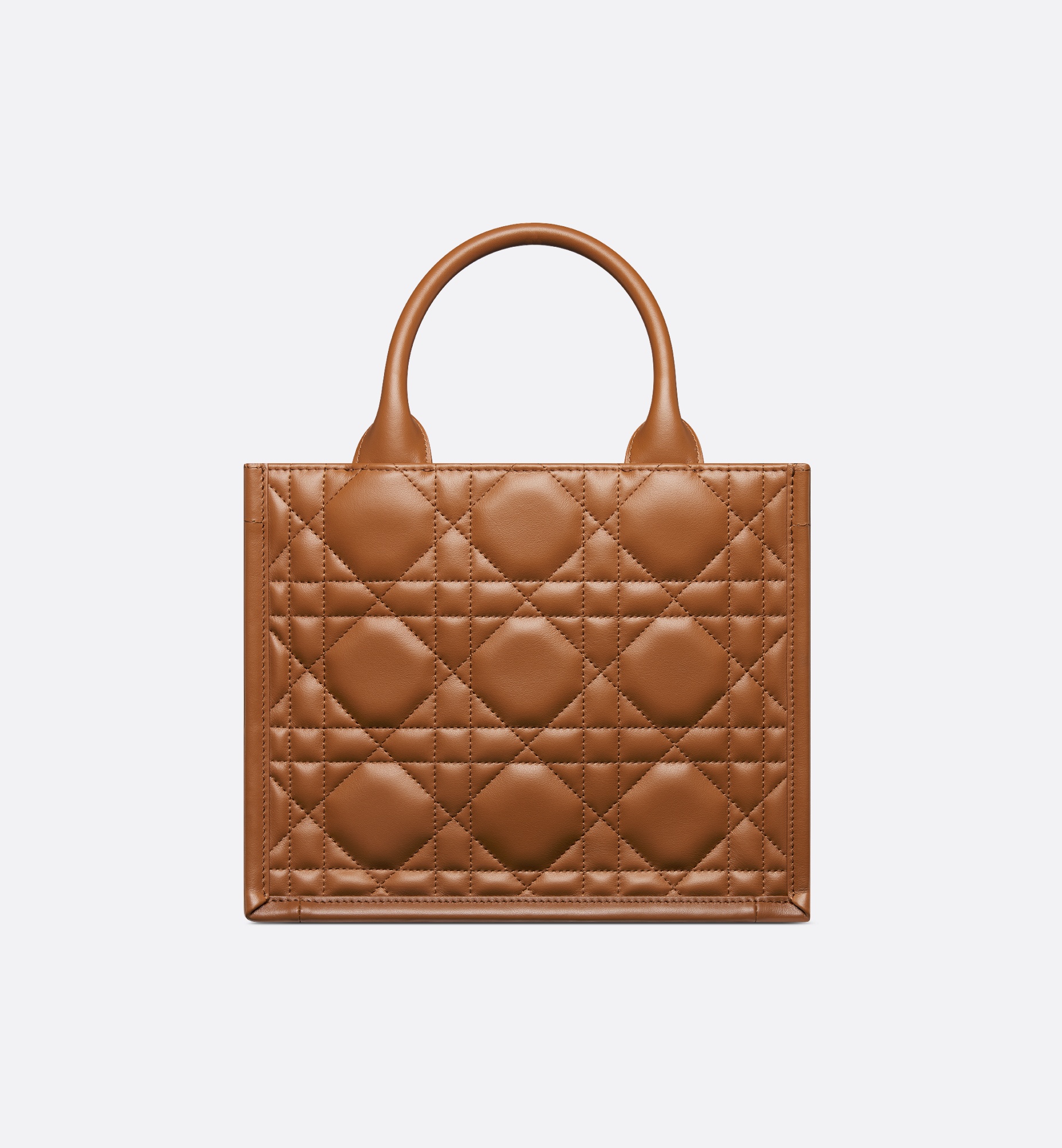 Small Dior Book Tote - 2