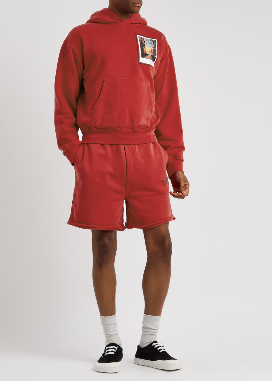 Helmut Lang Postcard Printed Hooded Cotton Sweatshirt - 4