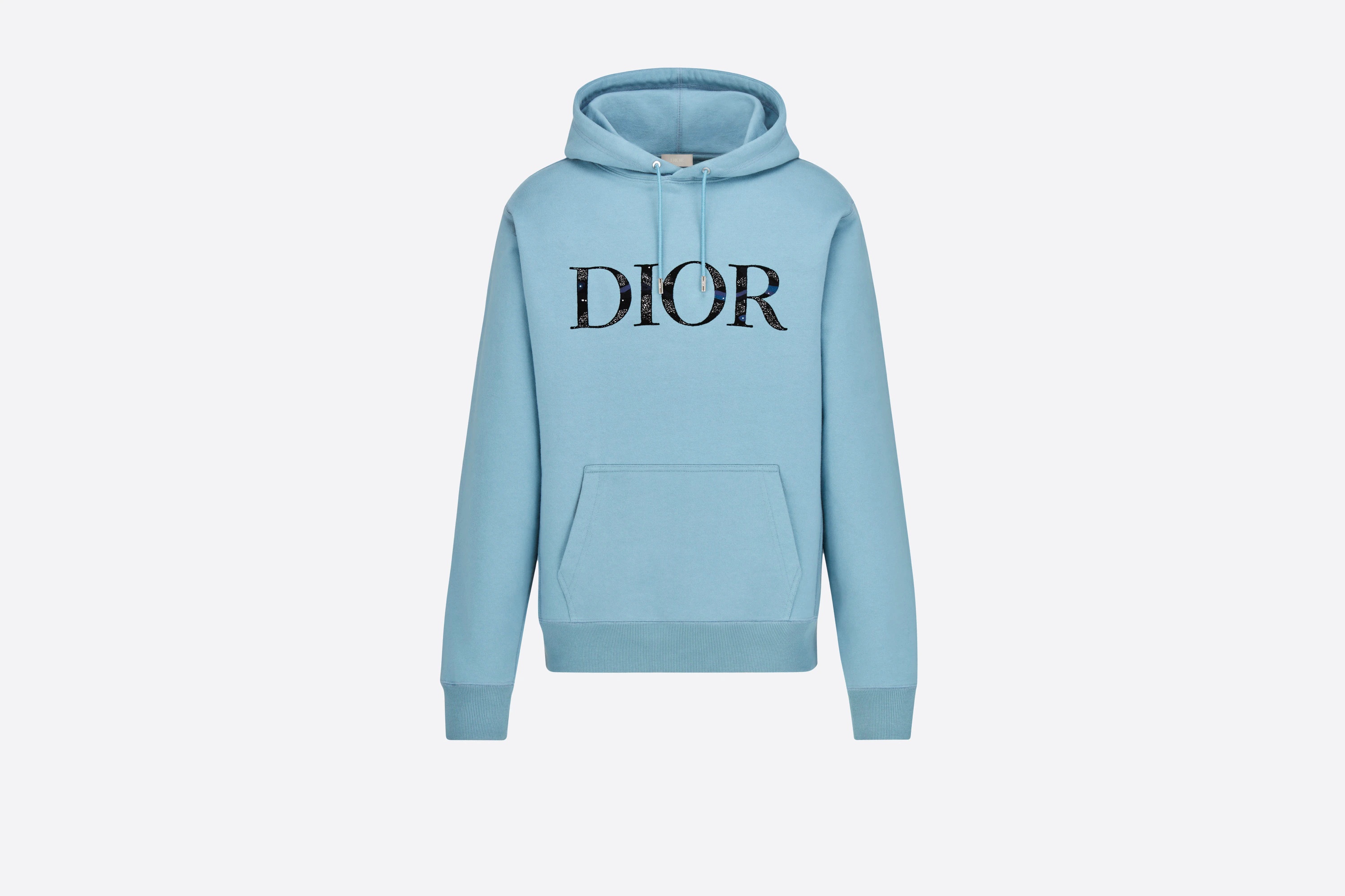 Oversized DIOR AND PETER DOIG Hooded Sweatshirt - 1