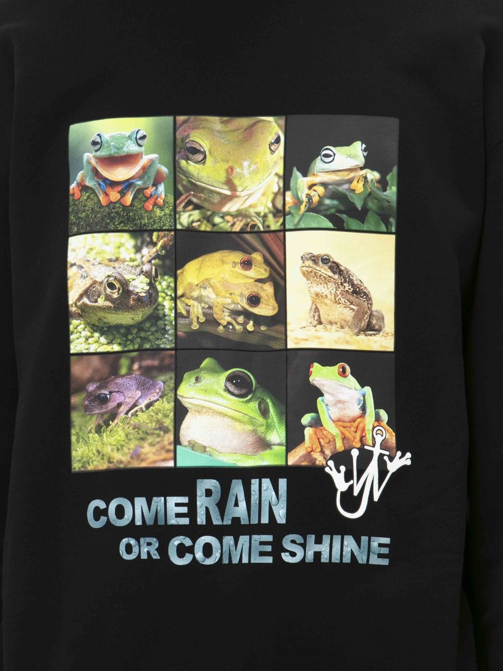 FROG SWEATSHIRT - 6