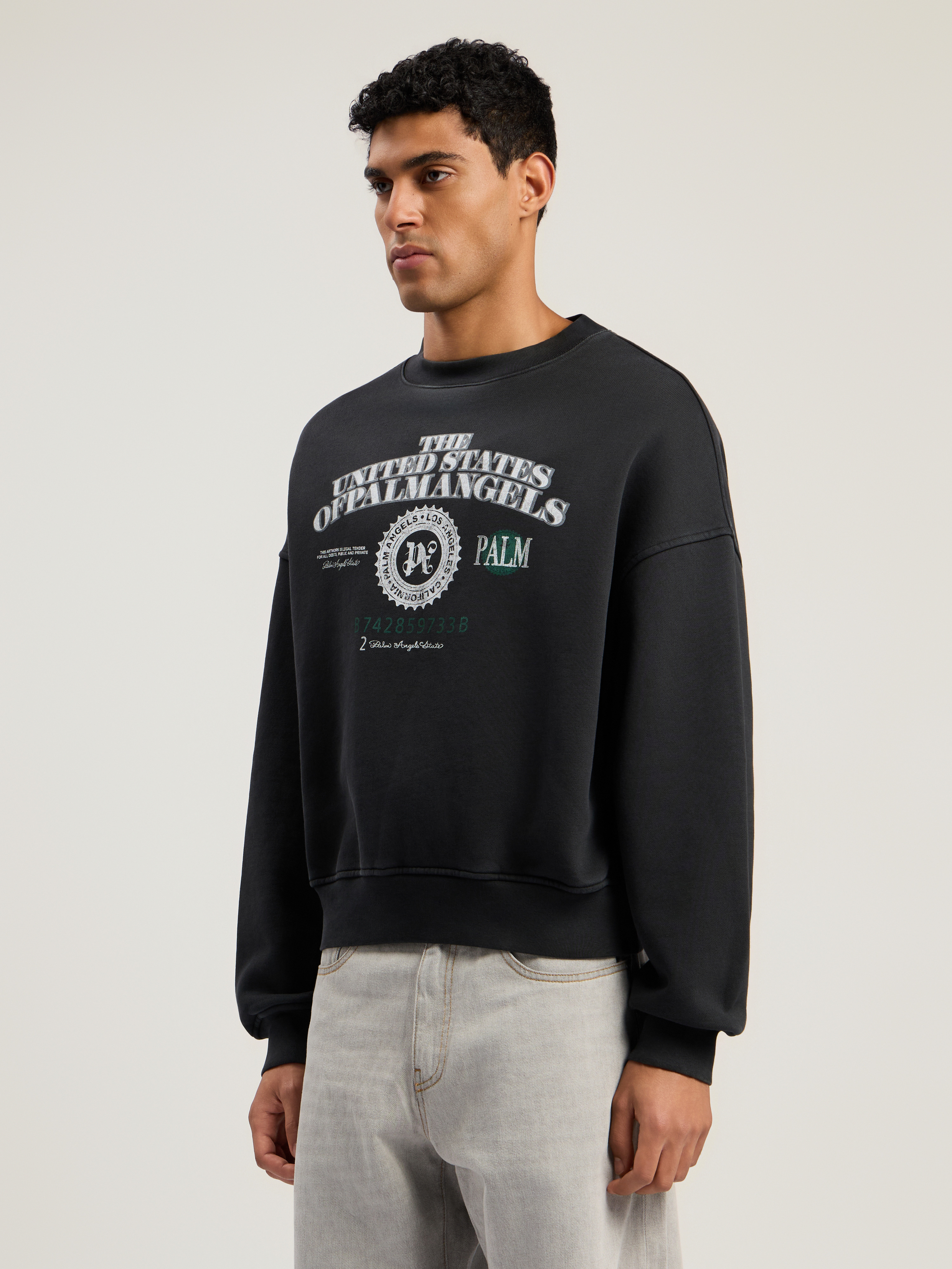 Dollar Loose Crew Sweatshirt - 4