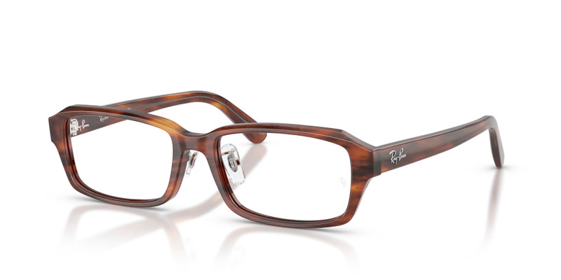 RB5458D OPTICS 1