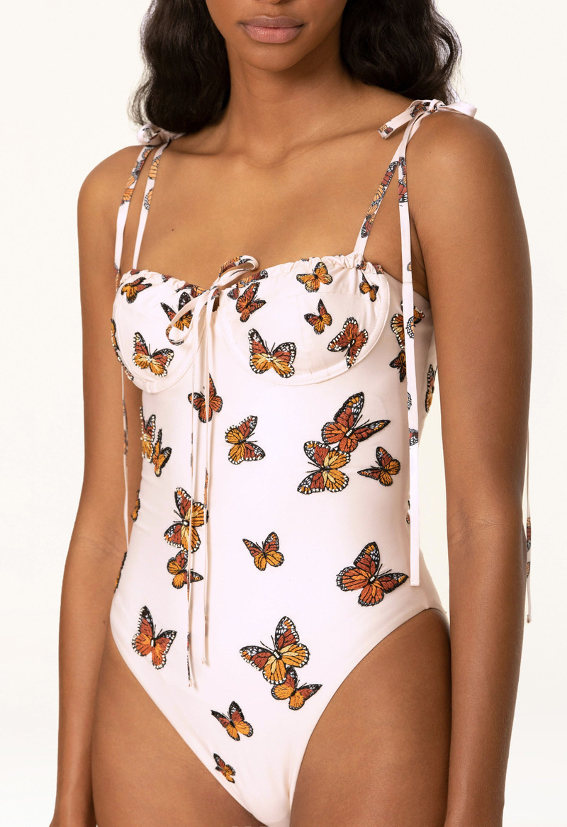 Ébano Monarca One Piece 6