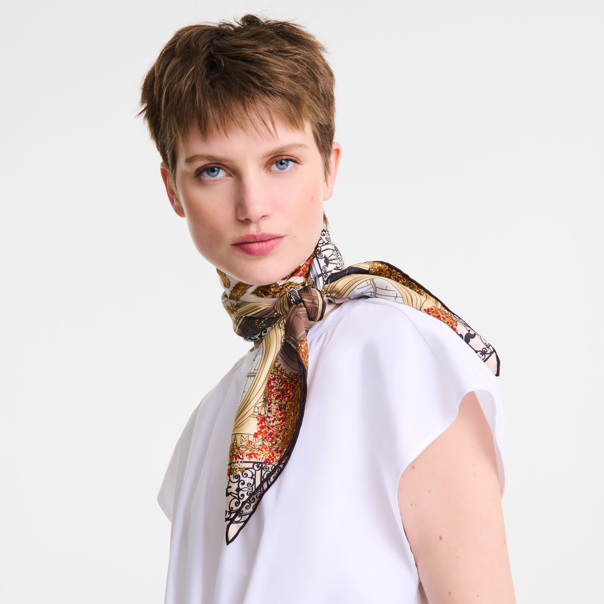 Jardin Parisien Silk scarf 90 Ebony - OTHER - 2