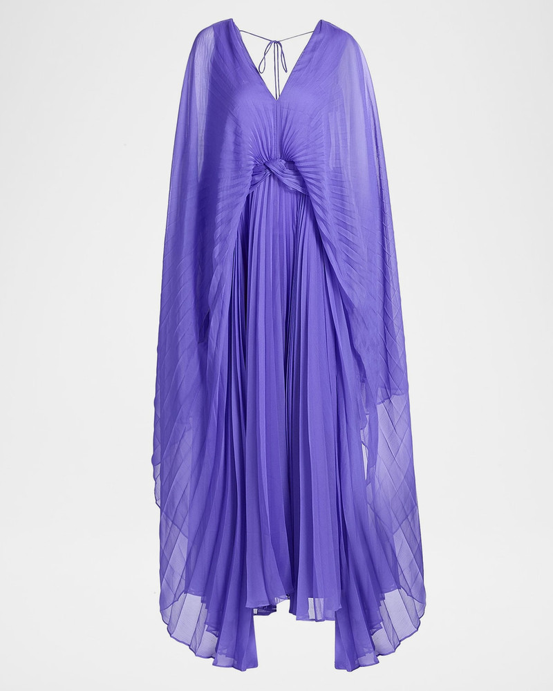 Darnhill Pleated Cape Maxi Dress 1