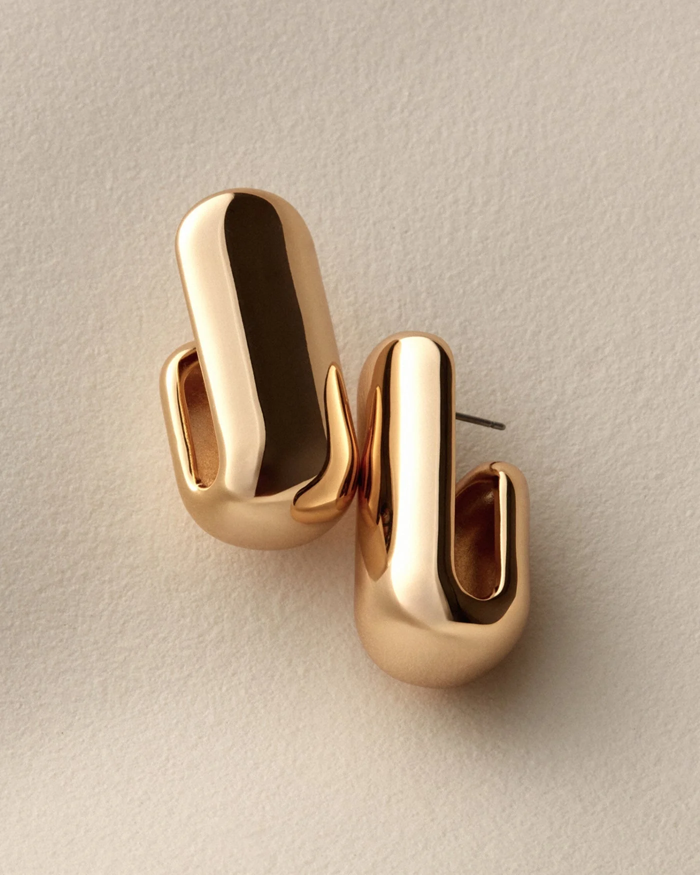 Large Leon Earrings - 1
