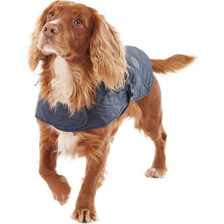 Quilted Dog Coat - 6