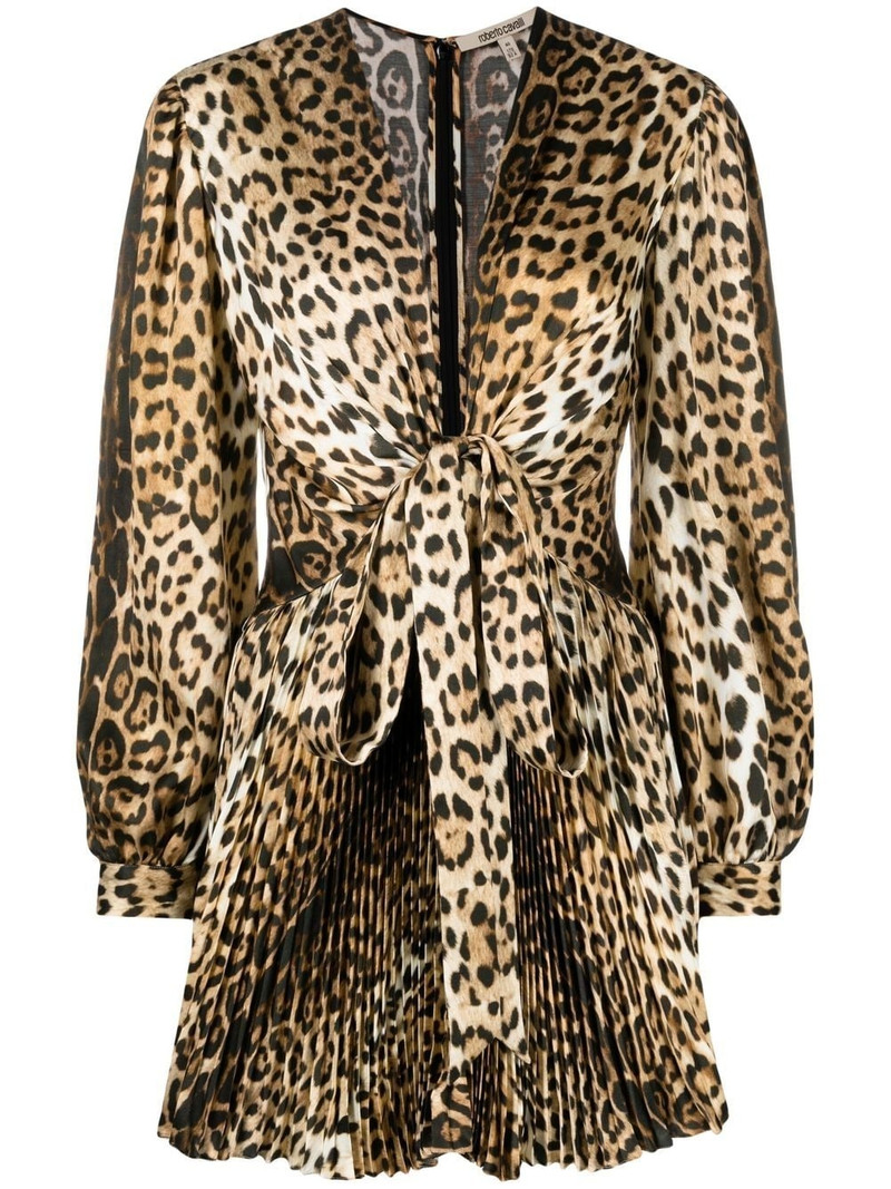 leopard-print mini dress 1