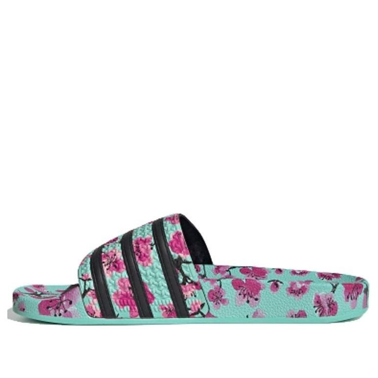 adidas adidas AriZona x Adilette 'Green Tea With Ginseng And Honey