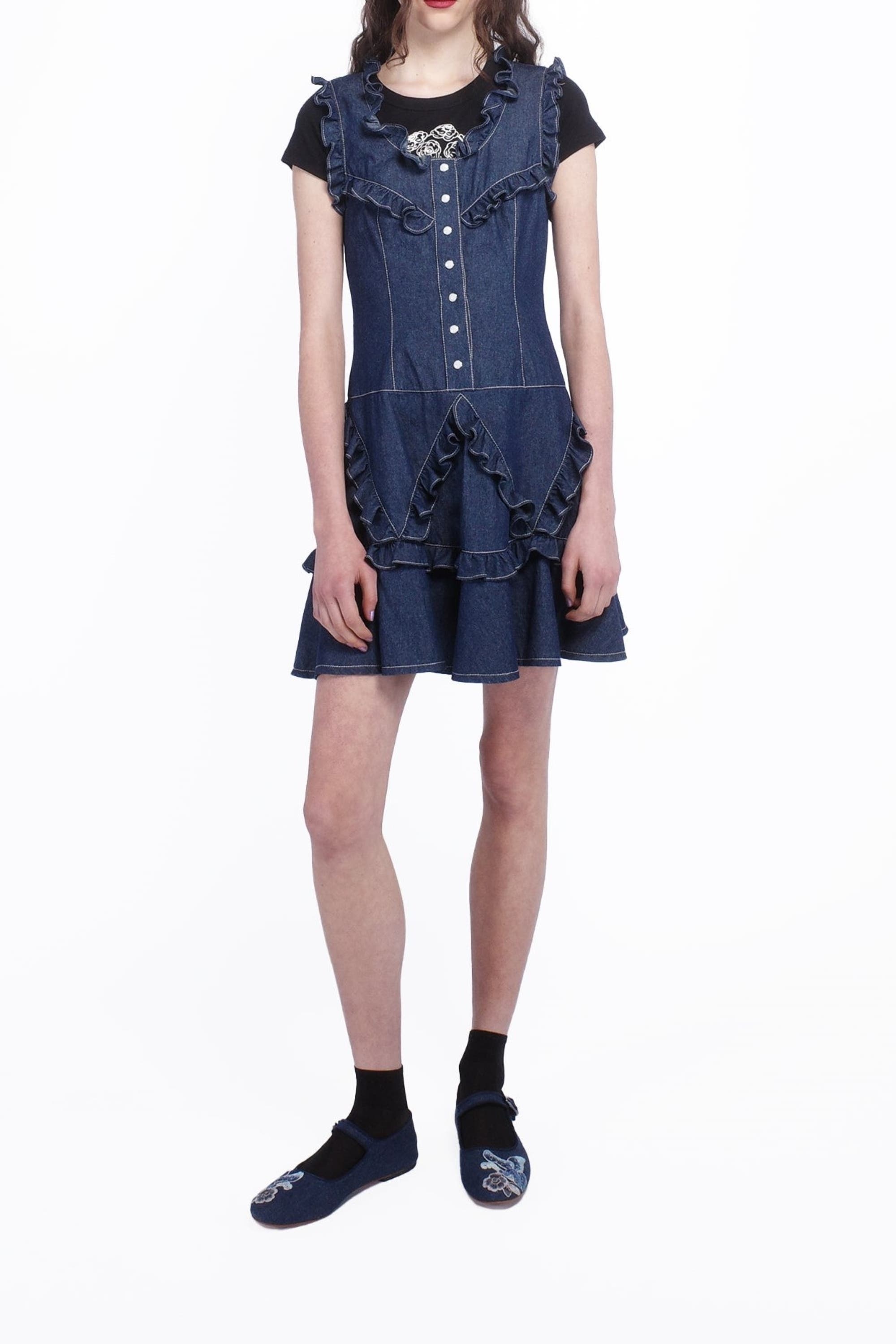 Anna Sui Denim Ruffle Dress at Nordstrom - 2