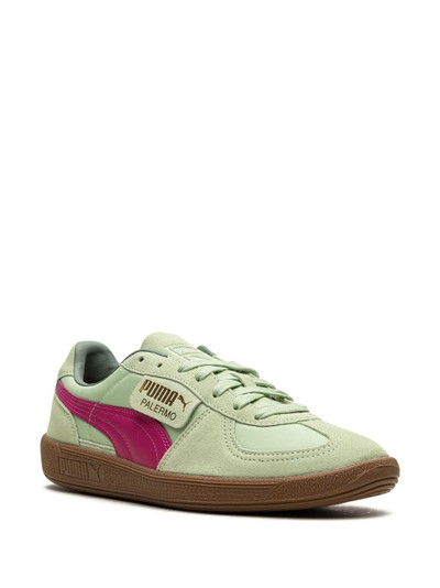 PUMA Palermo OG "Light Mint/Orchid Shadow/Gum" sneakers outlook