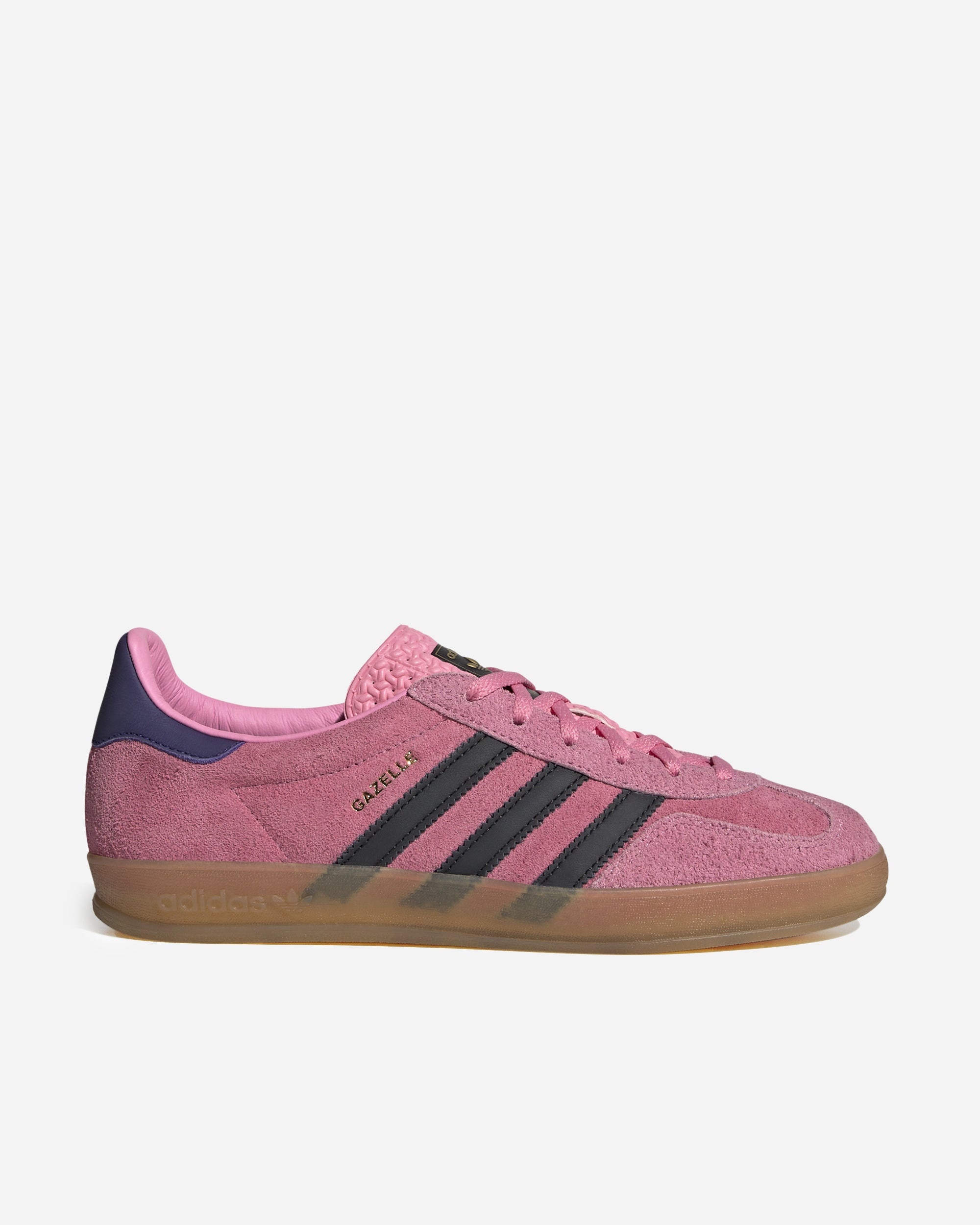 Gazelle Indoor - 1