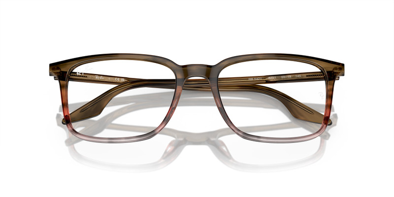 RB5421 OPTICS 2