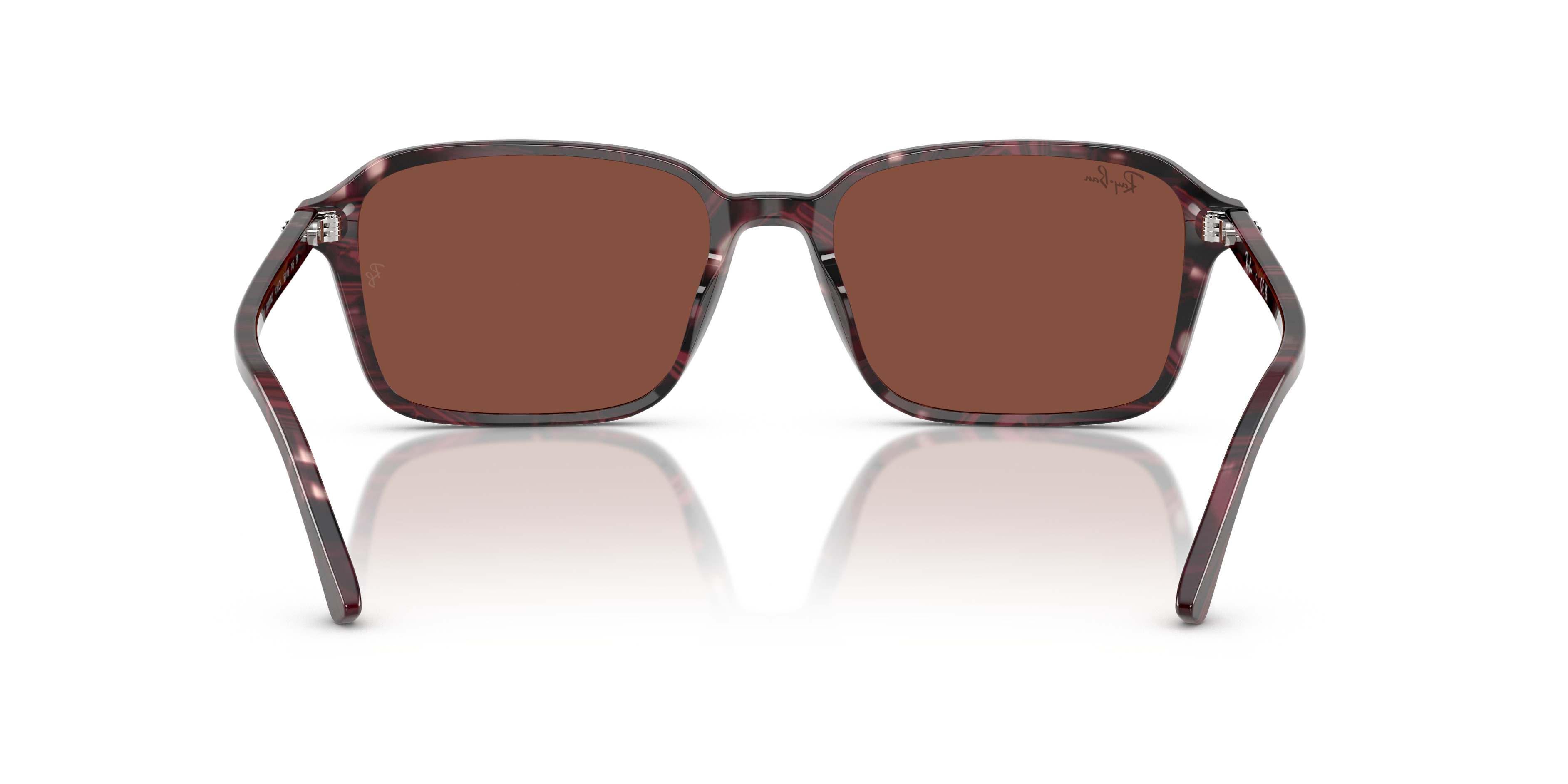 RB2231 Raimond - 4