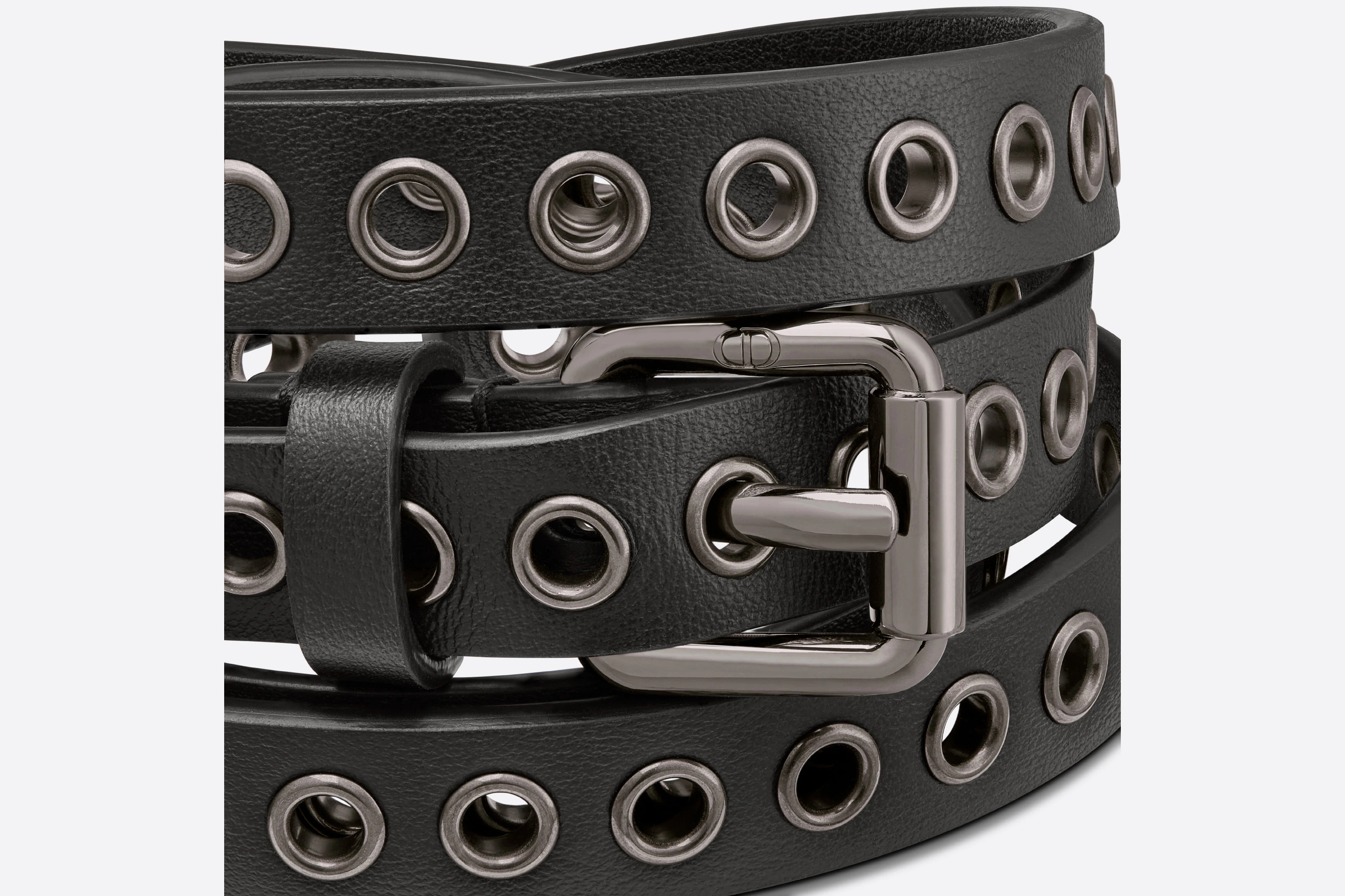 Diorevolt Belt - 3