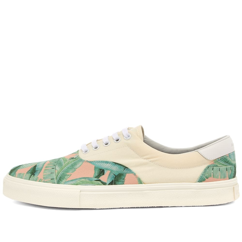 AMIRI Small Banana Leaf Lace Up Sneaker - 2